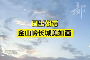 法维加盟阿森纳以来送出8次助攻，同期队内仅少于萨卡、特罗萨德